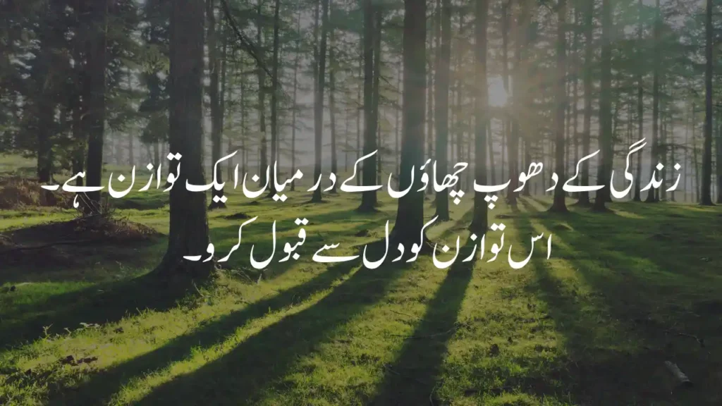Balance of life in Urdu quote