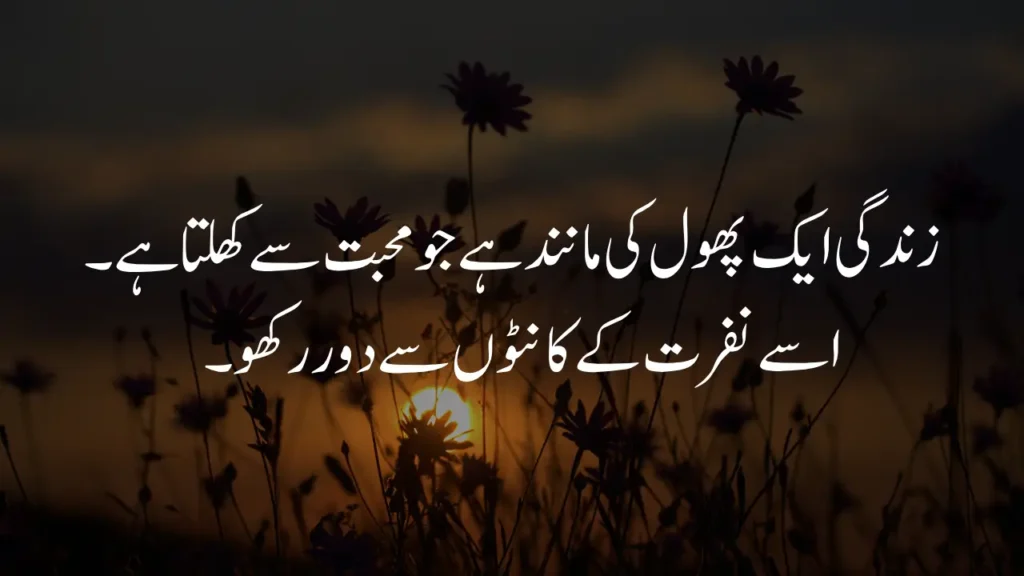 Flower blooming in life quotes in Urdu